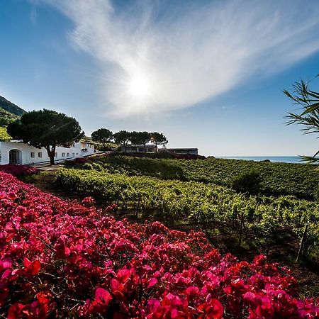 Capofaro Locanda & Malvasia Malfa  Εξωτερικό φωτογραφία