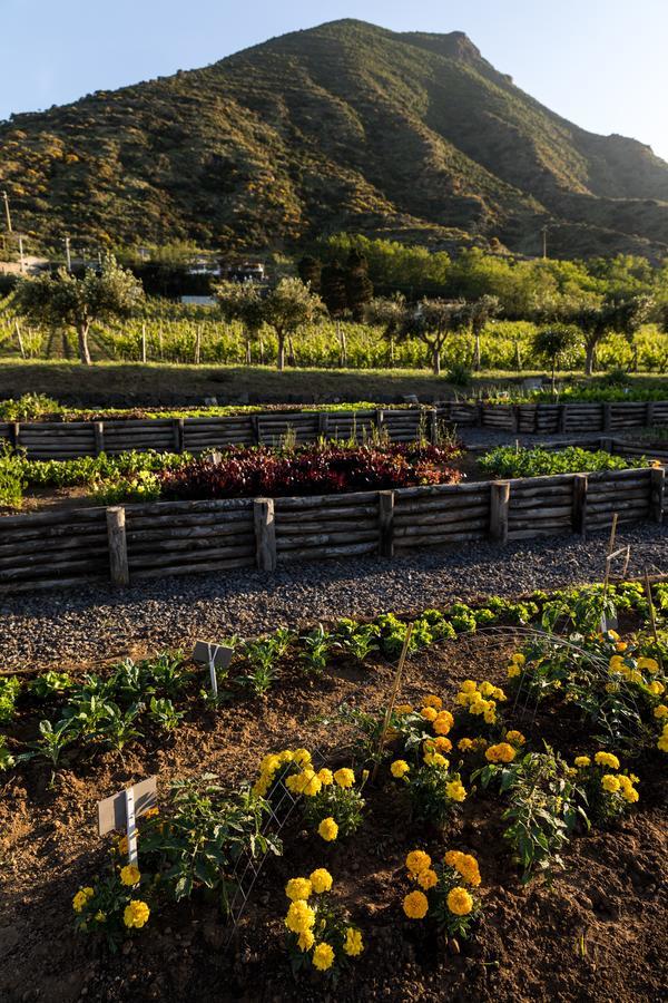 Capofaro Locanda & Malvasia Malfa  Εξωτερικό φωτογραφία